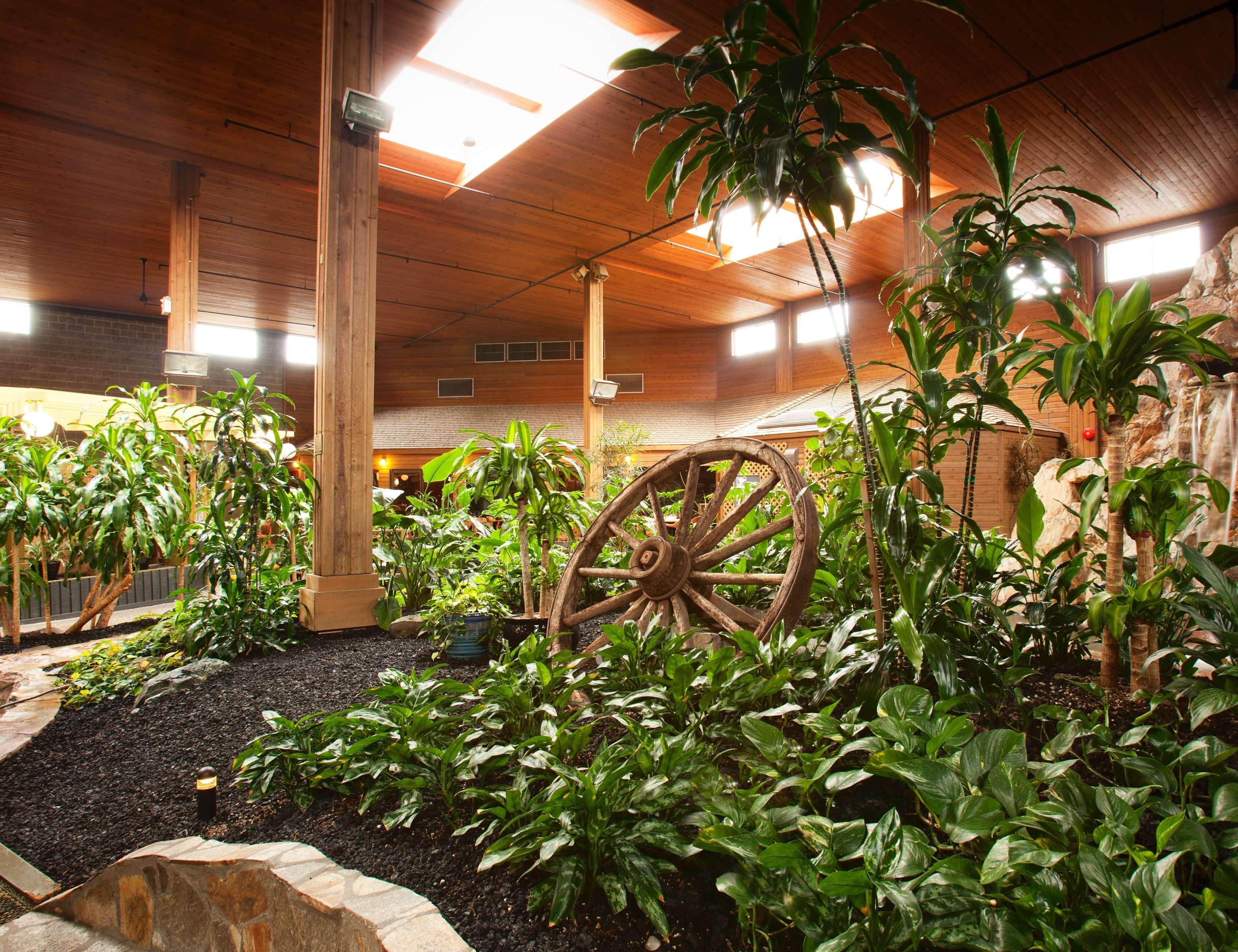 Best Western Premier Ashton Suites - Willowbrook Houston Eksteriør billede